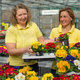 Monheimer Blumenmarkt