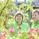 Gartencenter Iben